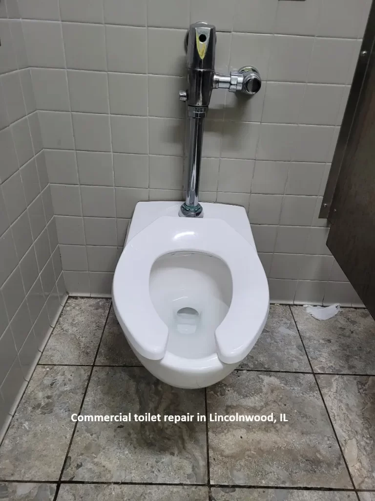 Commercial Toilet
